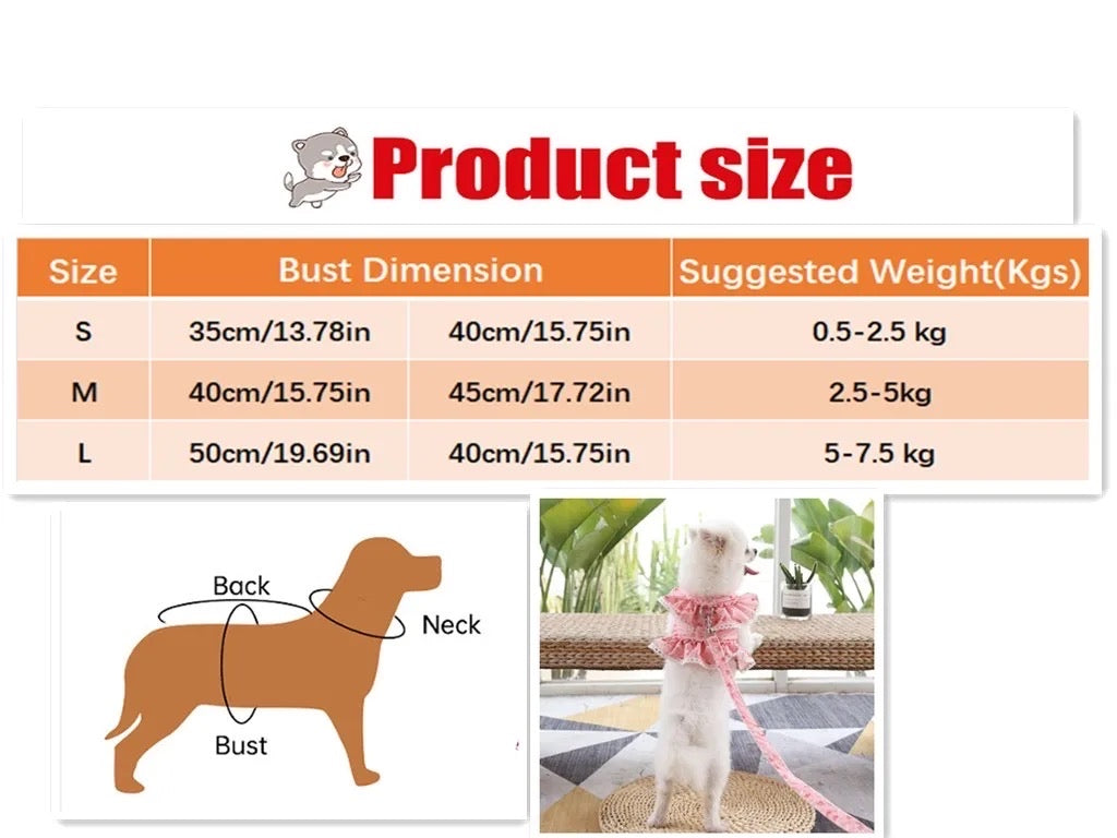 Ensemble Harnais et Laisse Floral pour Chien | Ensemble de Promenade pour Chien