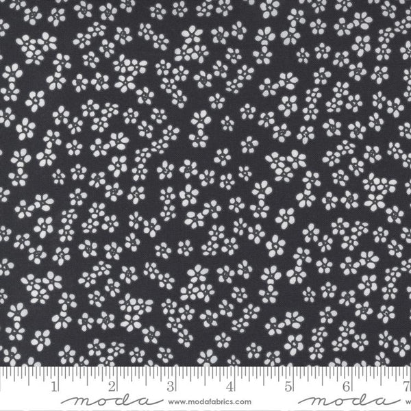 Création d'Alli K pour Moda - Mini Daisy - Encre