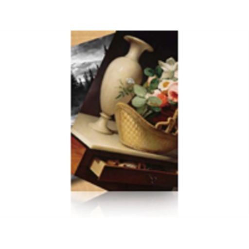 Epson Premium Luster Photo Paper (260) 60" x 100' Ro