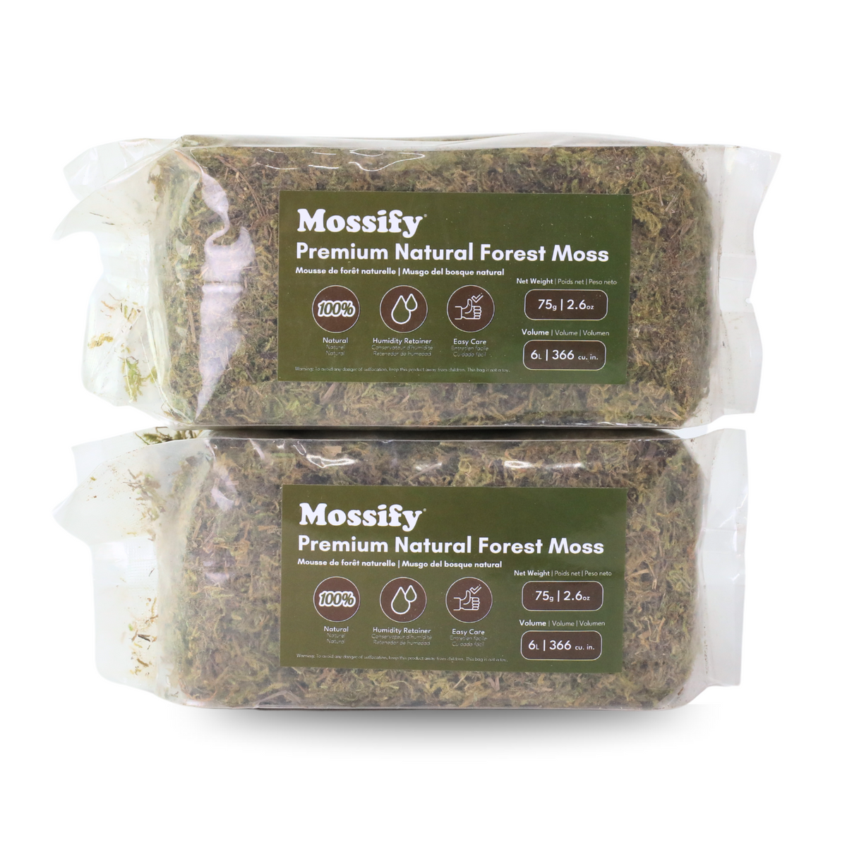 Premium Natural Forest Moss