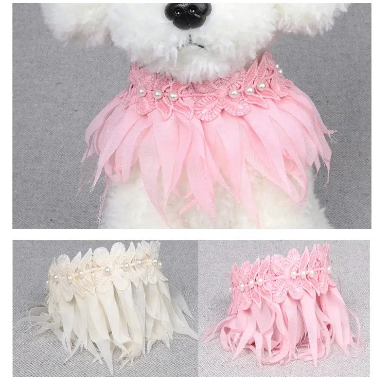 Collier de luxe plume et perle pour chien