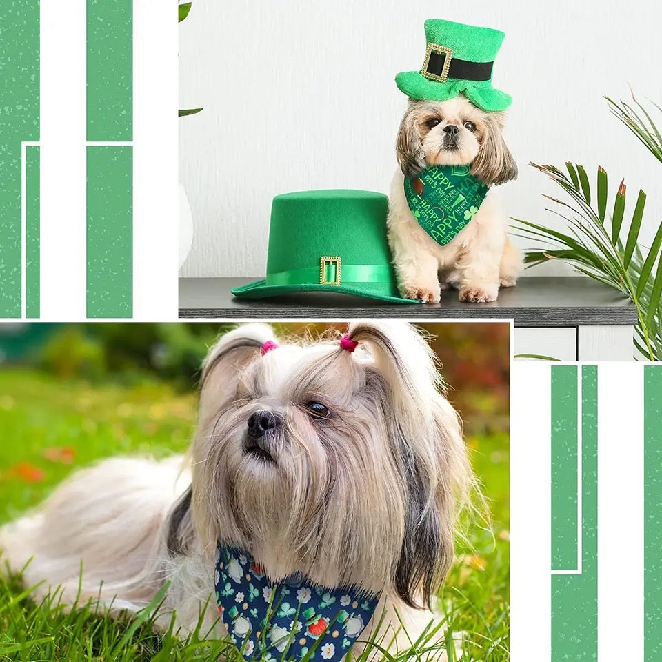 Bandana de la Saint-Patrick