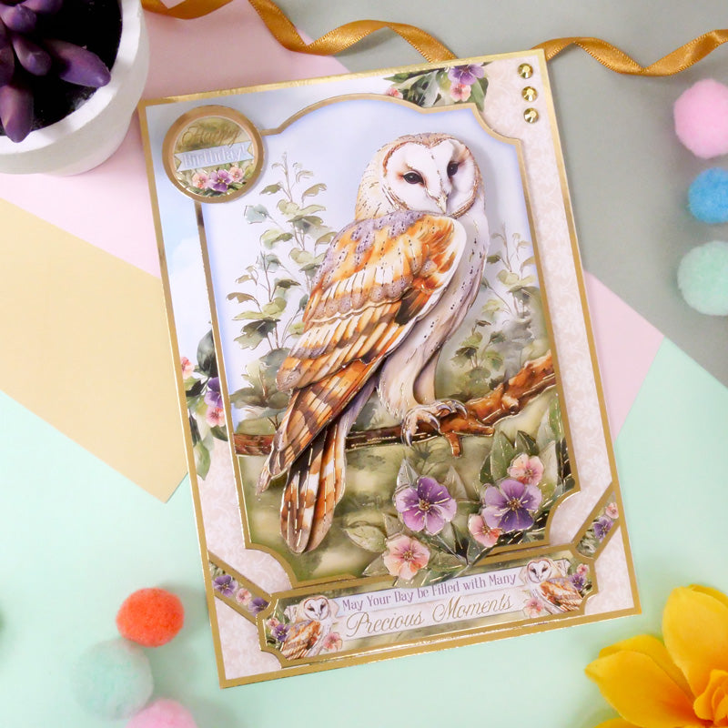 Ensemble Deco-Large Magnifiques Oiseaux - Belle Chouette Effraie