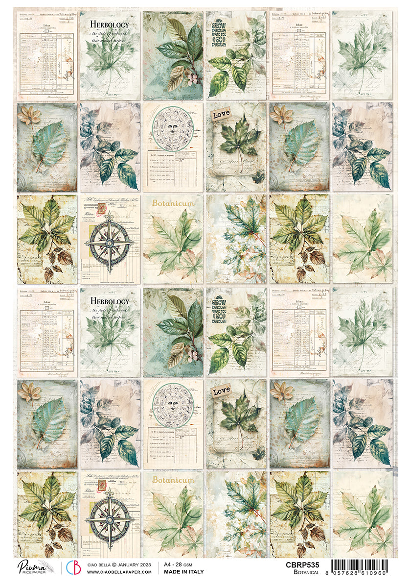 Papier de riz A4 Botanique - 5 feuilles