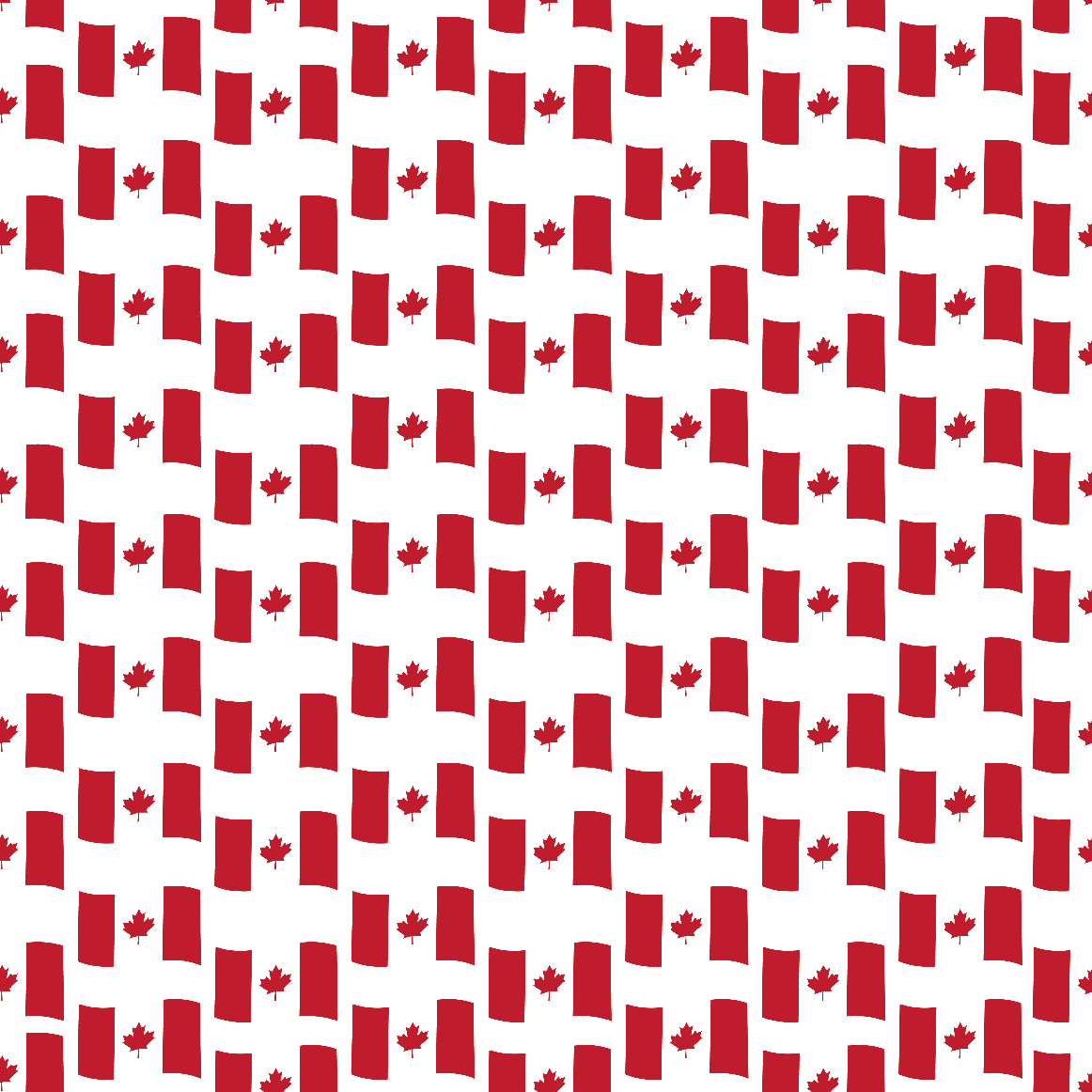 Motif drapeau canadien en HTV