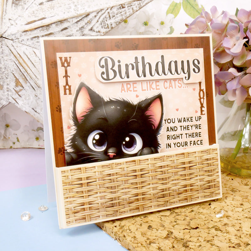 Le petit livre de l'humour d'anniversaire