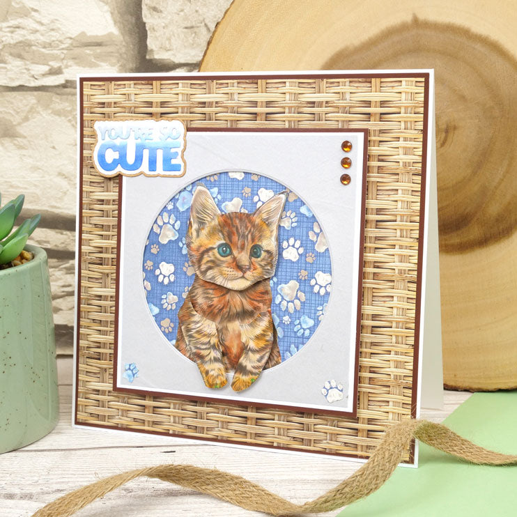 Carnets de coloriage de poche - Petits Miaous