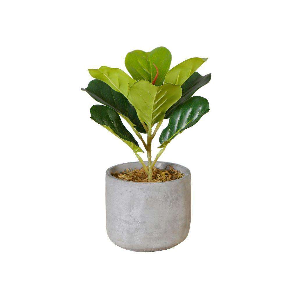 Plante de figuier lyre artificielle en pot Panuco