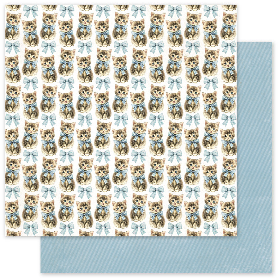 Collection de papier Rustic Spring Basics 6x6 34275