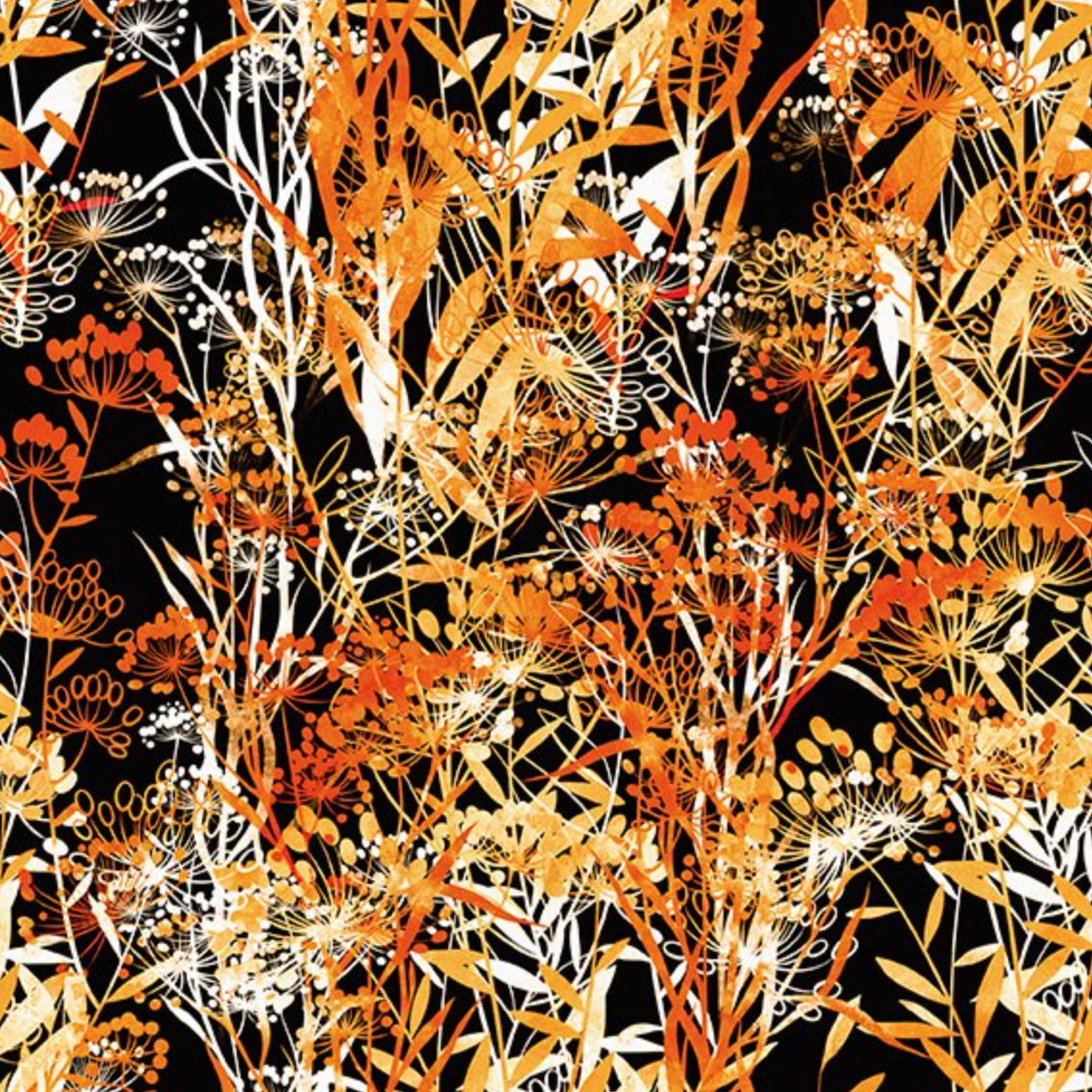 Jason Yenter - Reflets d'Automne II - Champs - 24RA-1