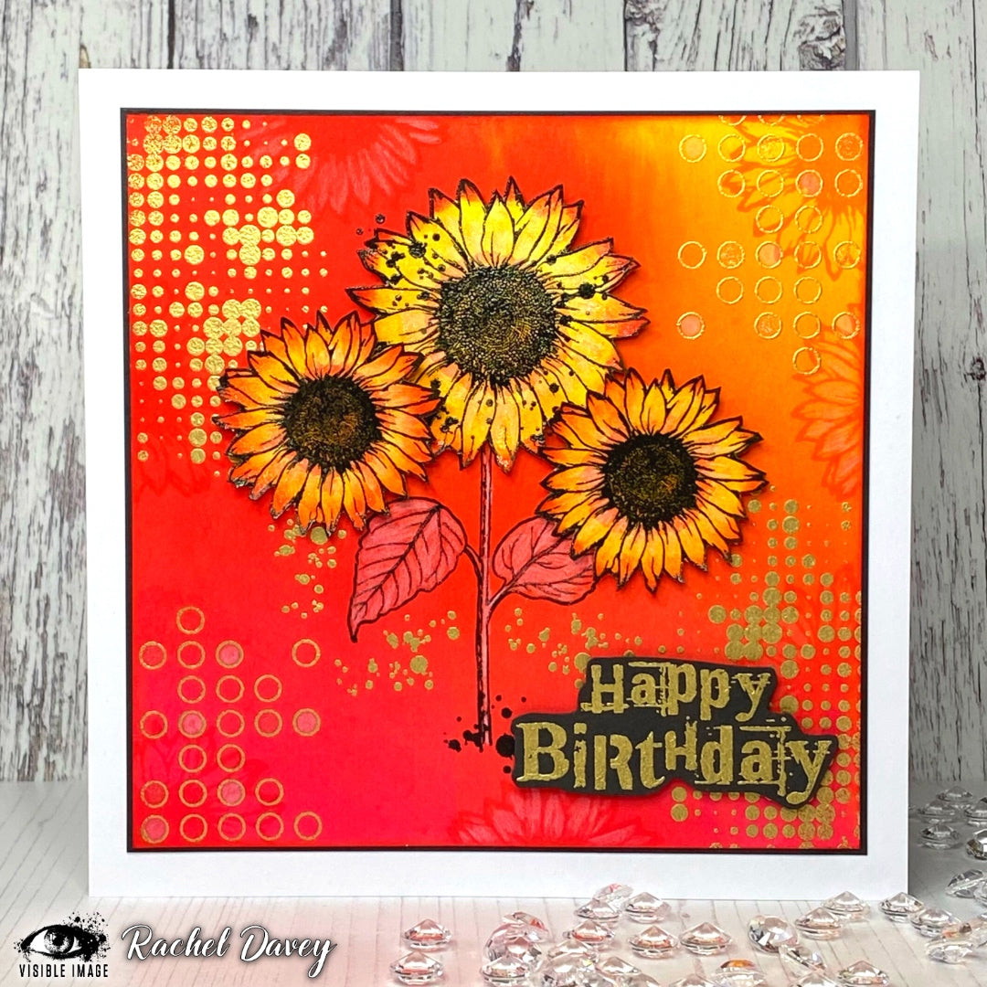 Visible Image Souhaits d'Anniversaire - Set de Tampons A6