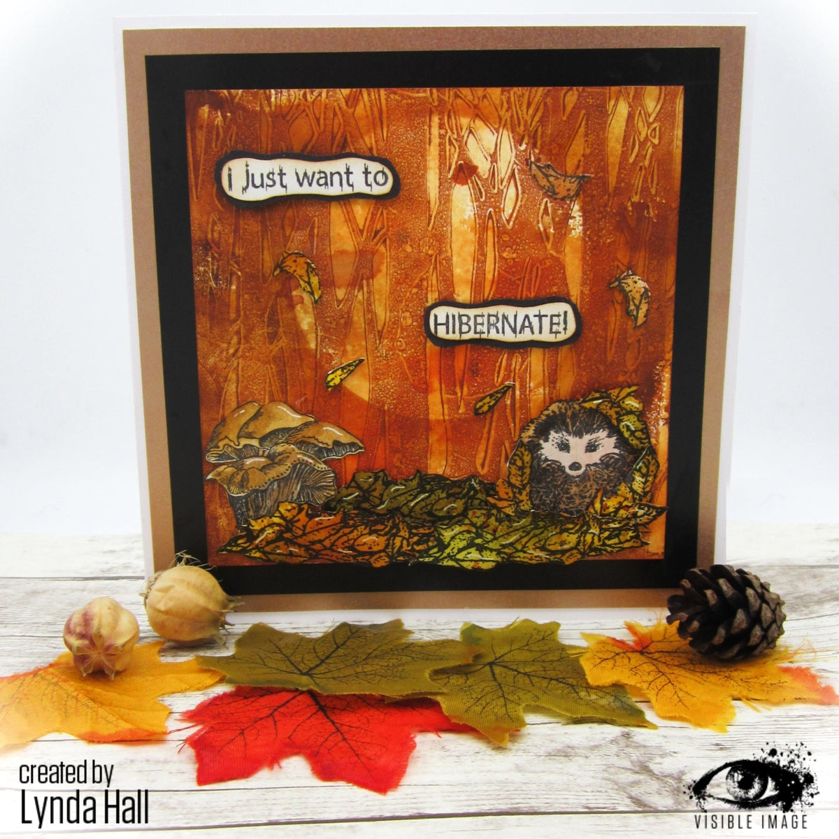 Visible Image Hedgehog Hugs - A6 Stamp Set