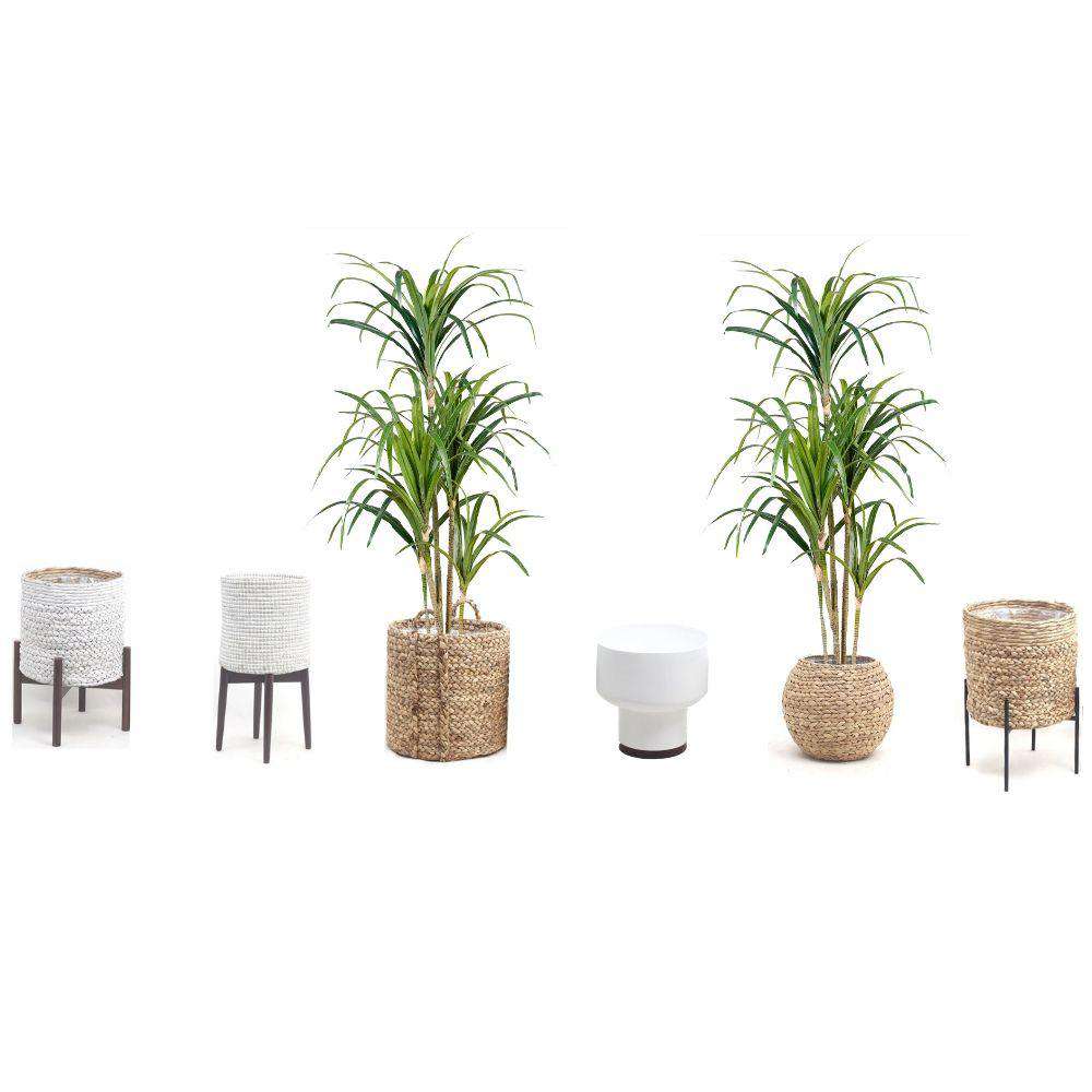 Plante en Pot Artificielle Yulu Century (Plusieurs Tailles)