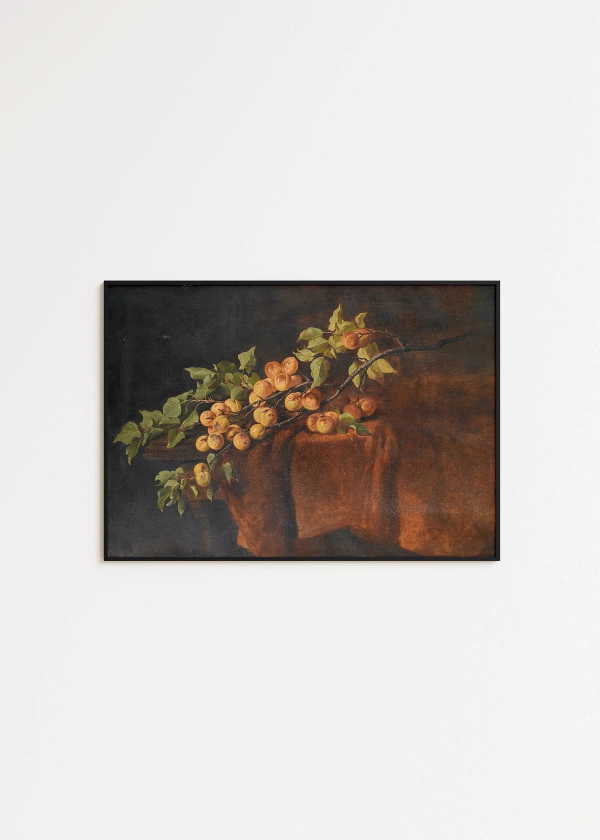 Adam Ludwig Kunz - Branche d'abricotier | Célèbre nature morte (disponible encadrée à la main ou non encadrée)