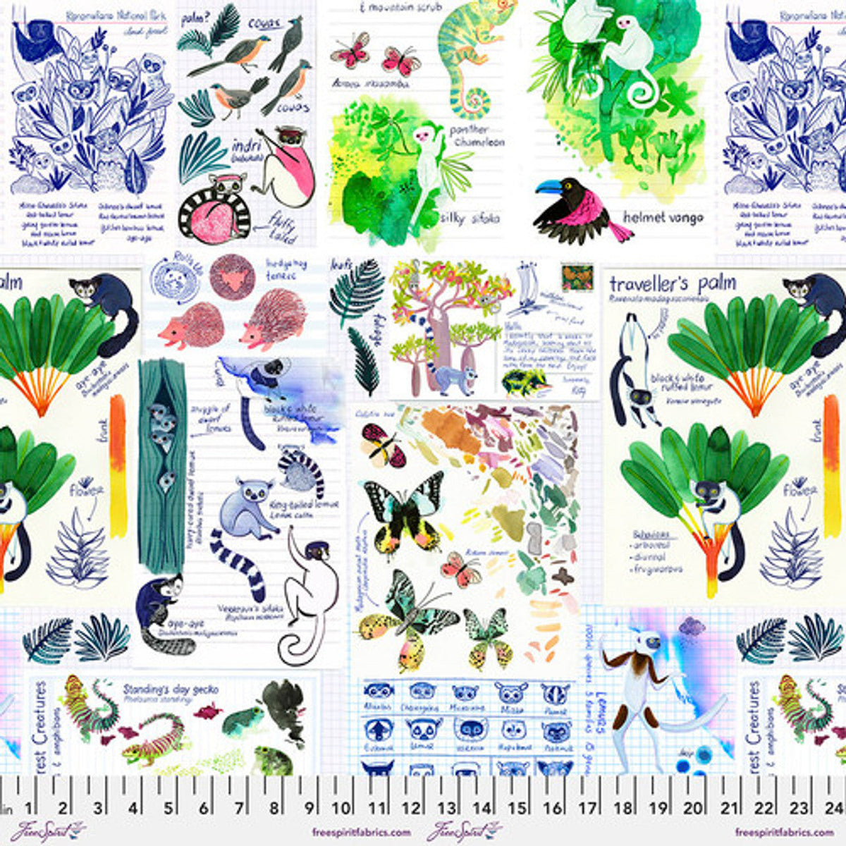 Madagascar Aventure Par Katy Tanis - Carnet de terrain - Multicolore