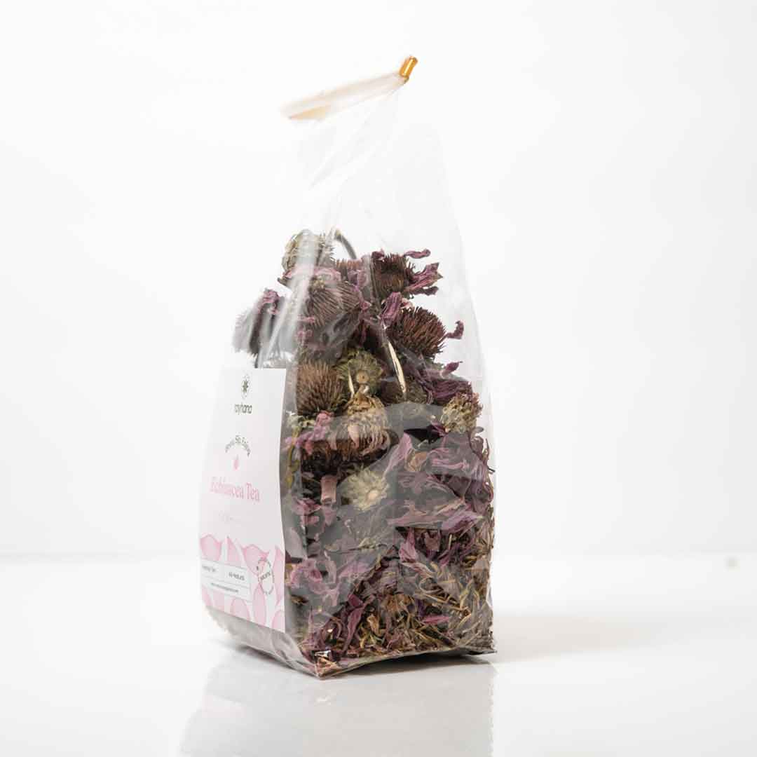 Tisane d'échinacée - Échinacée
