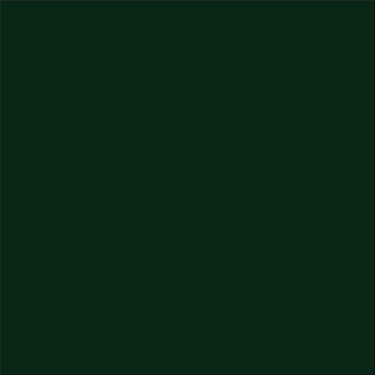 Vinyle thermocollant vert pour artisanat rouleaux de 11,4 cm x 45,7 mètres