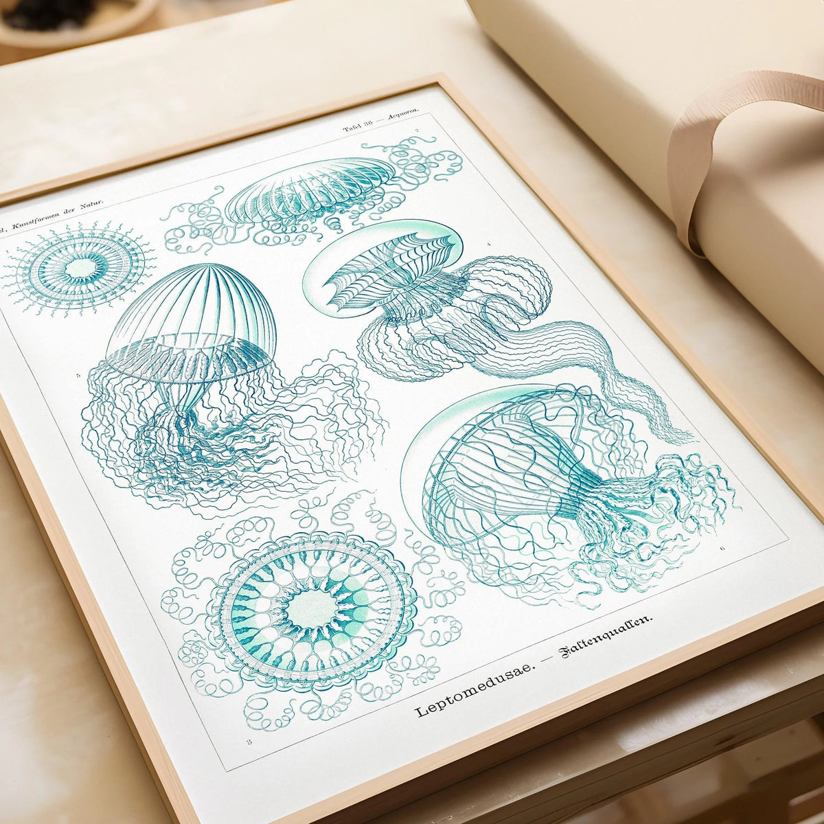 Ernst Haeckel Jellyfish Print: Vintage Marine Life Art