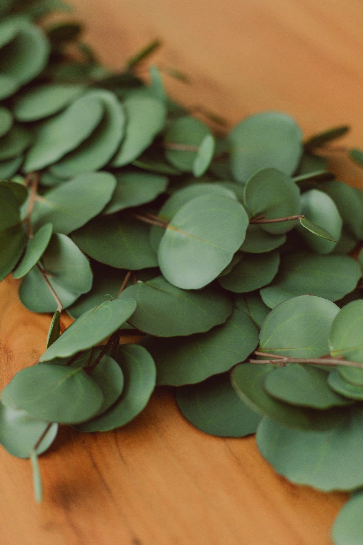 Guirlande d'eucalyptus presque vraie (artificielle)