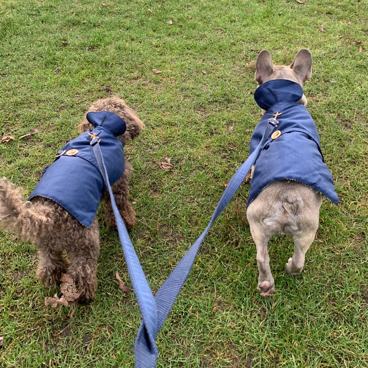 Imperméable bleu marine
