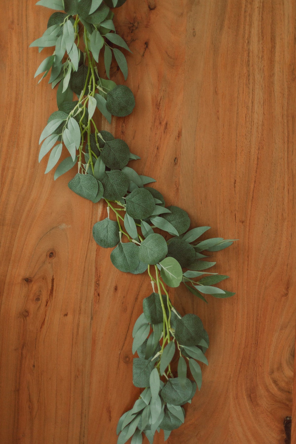 Eucalyptus + saule argenté (artificiel)