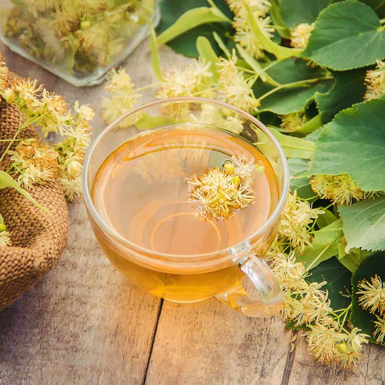 Tisane de tilleul