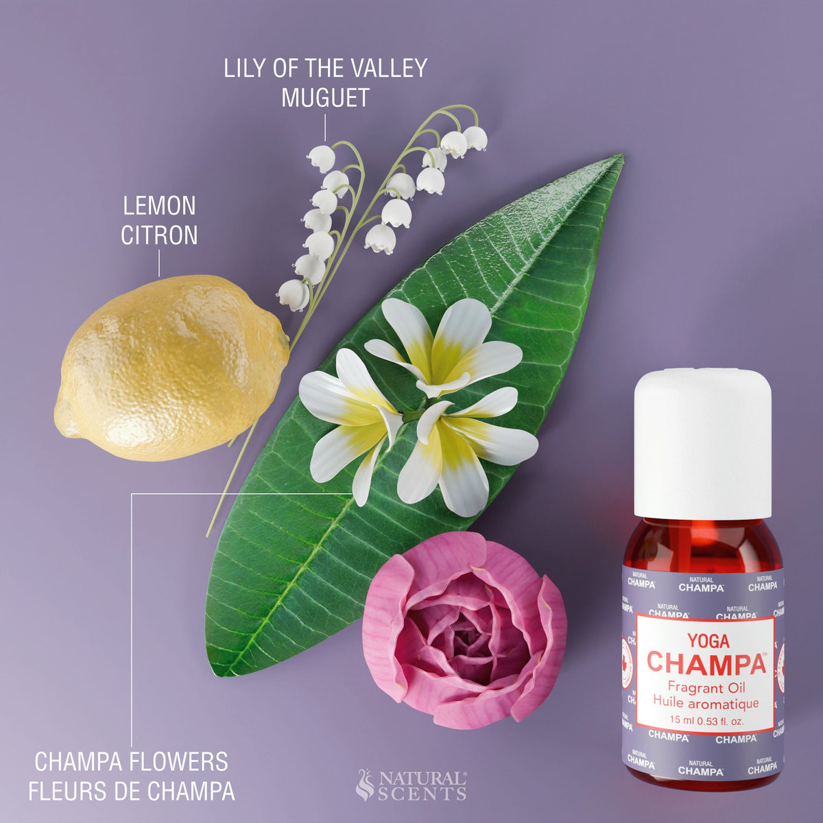 Huile parfumée Yoga Champa