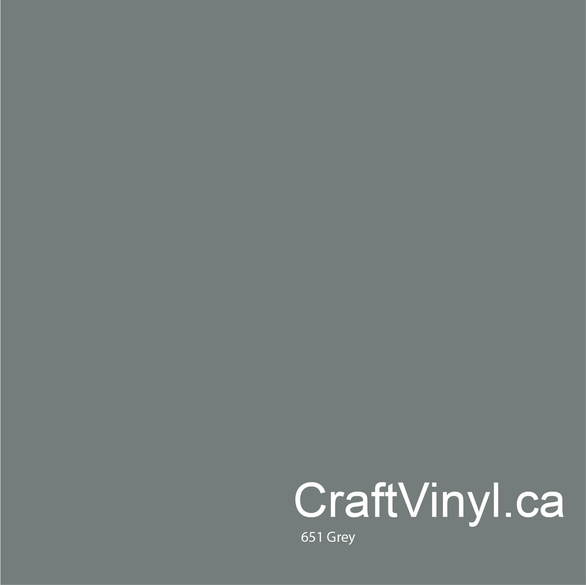 Vinyle Gris Brillant Oracal 651 #071