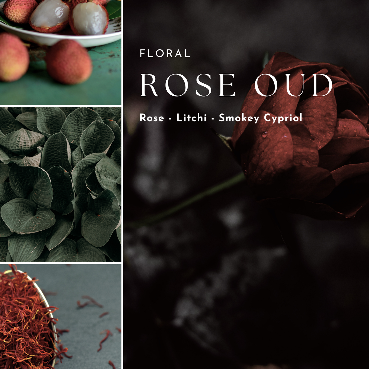 Fresh & Floral Reed Diffusers