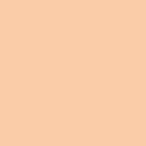 Siser Light Apricot Easyweed 12"sheets and rolls