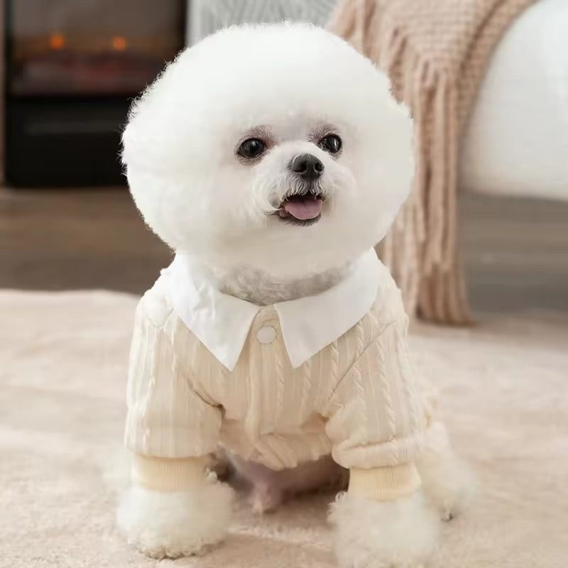 Samuel School Outfit for Dogs – Matching Dog Dress and Sweater Set