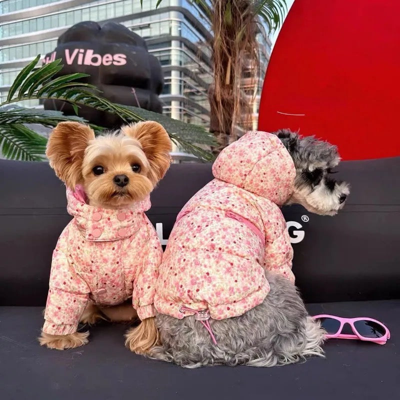 Veste de printemps