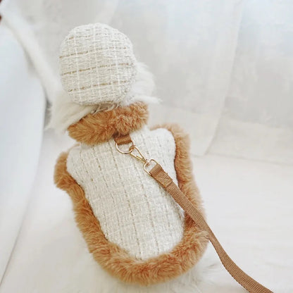 Dog Harness Hat and Leash Set | Designer Pet Set