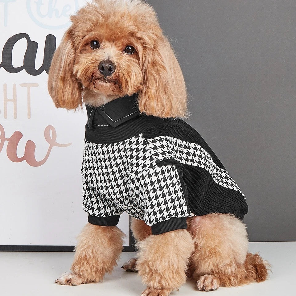 Chemise pour chien London | Chemise à carreaux pour chien