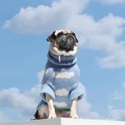 Pull pour chien | Tricot tête dans les nuages