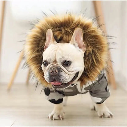 Manteau pour chien Pawkage | Manteau à capuche pour chien avec bordure en fourrure