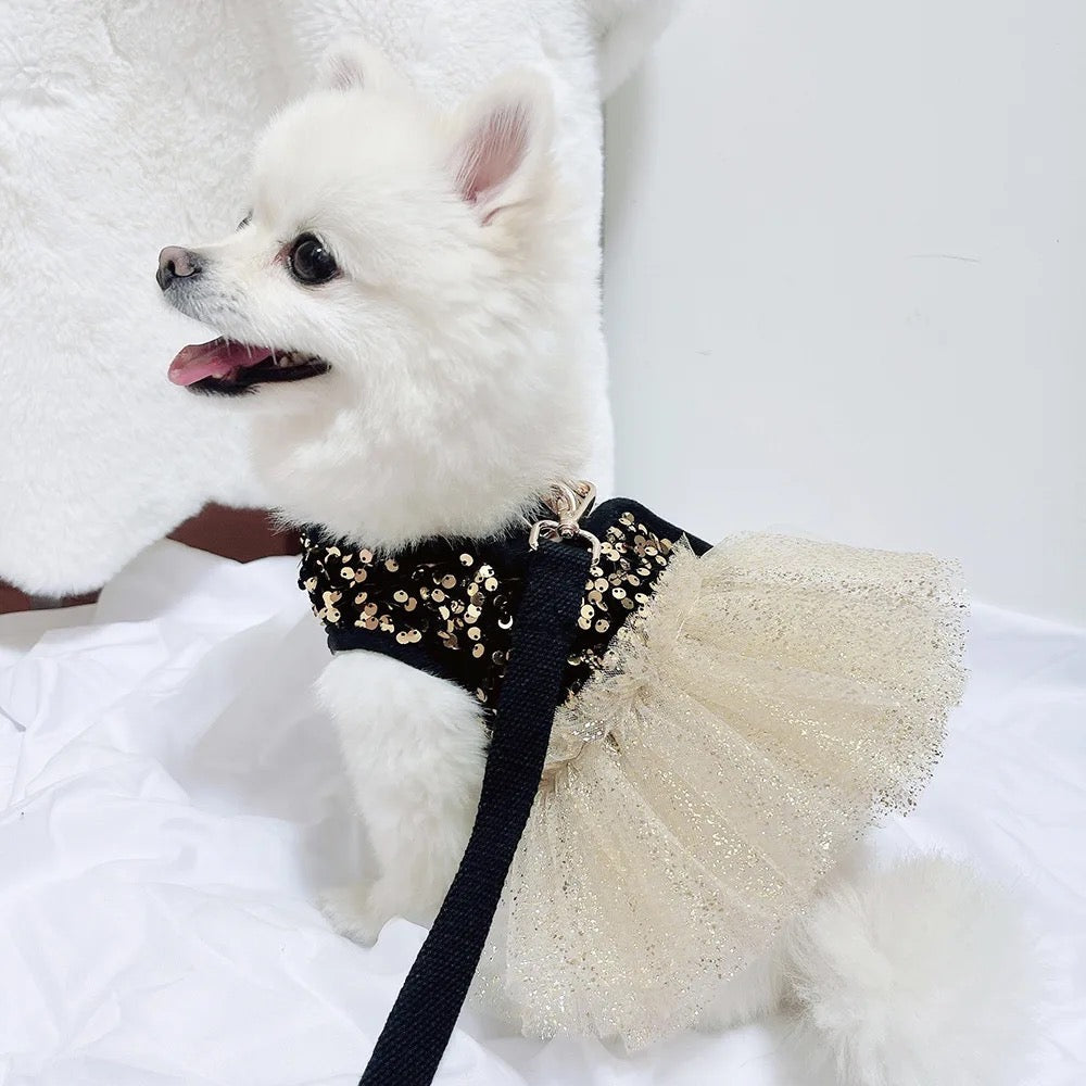Ensemble robe pour chien Twinkle Star | Robe de fête avec nœud assorti