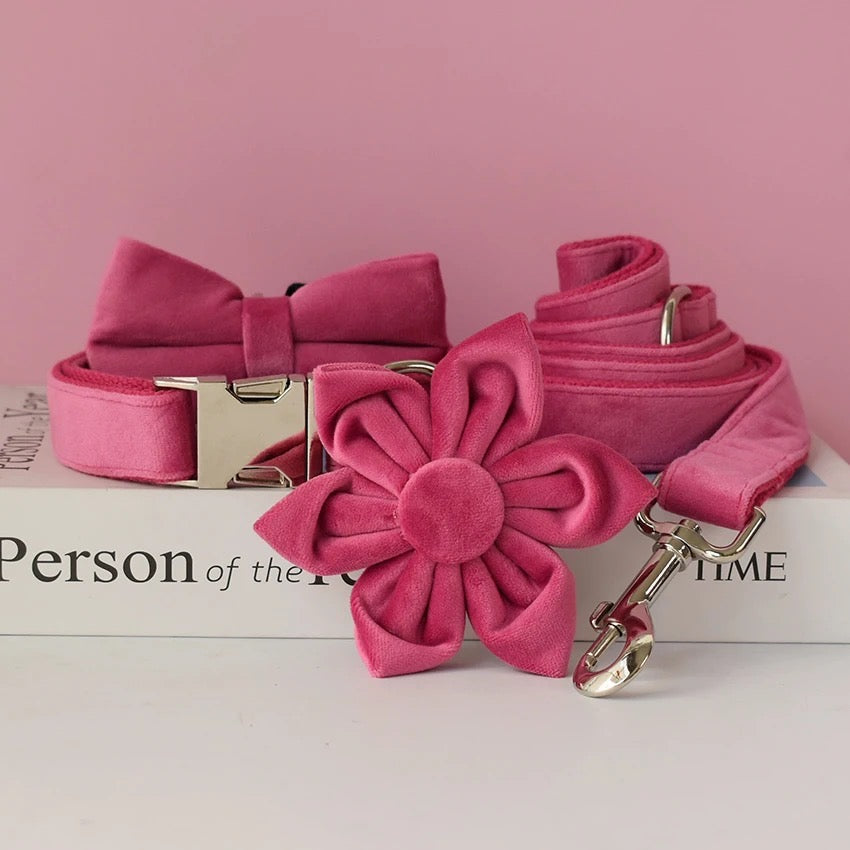 Baby Boo Engraved Dog Collar and Leash Set | Personalized Walking Accessories