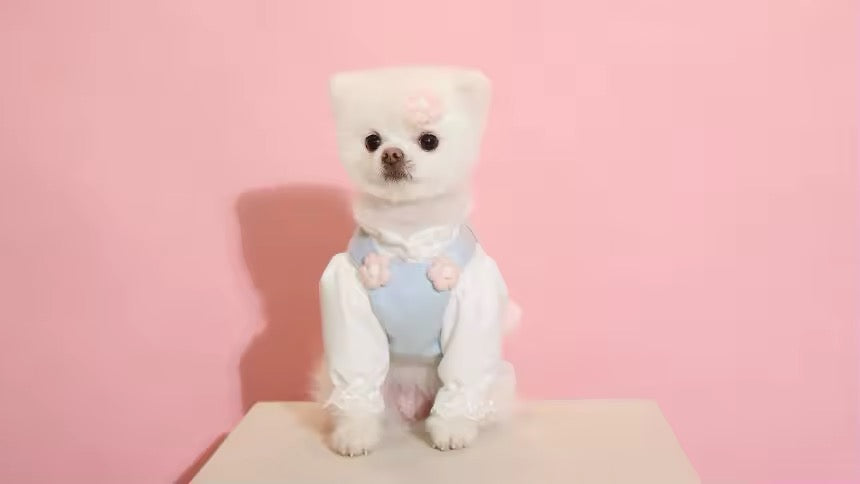 Tenue Lapin de Pâques bleu layette – Ensemble Bonnet de Pâques pour chien