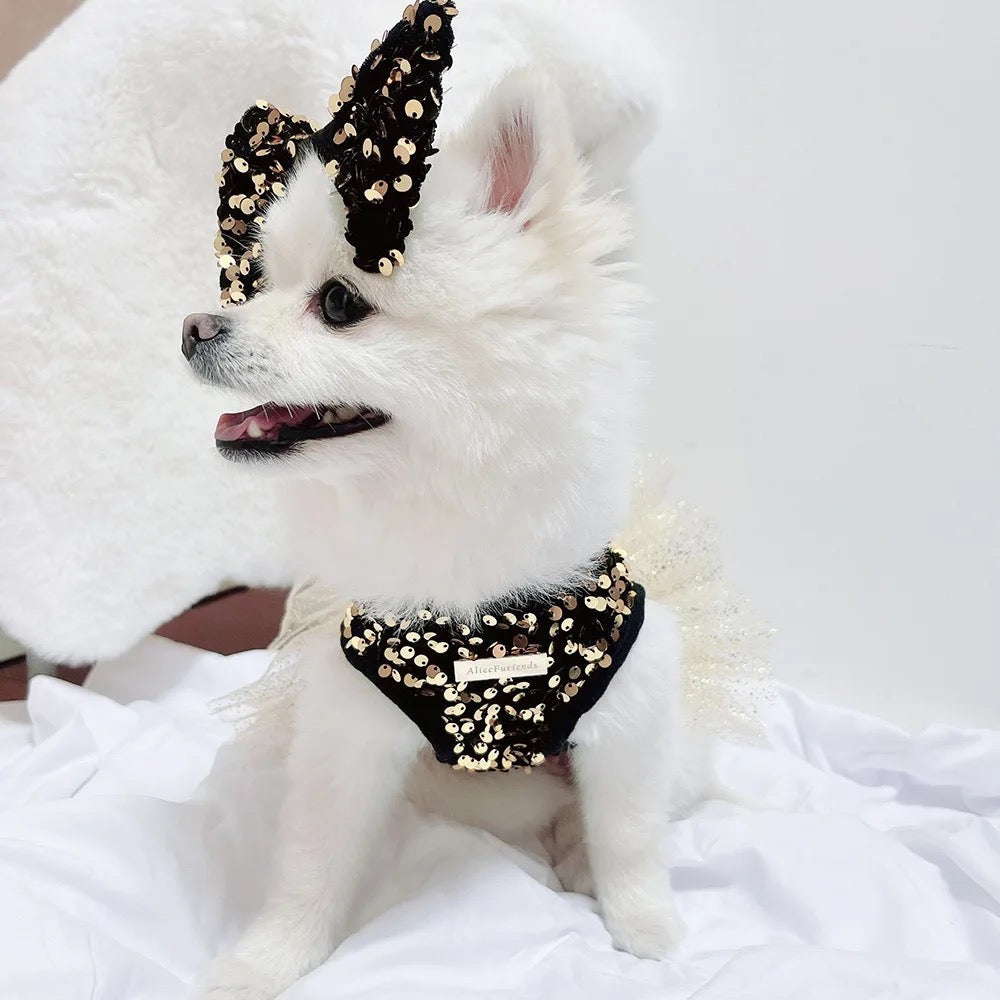 Ensemble robe pour chien Twinkle Star | Robe de fête avec nœud assorti