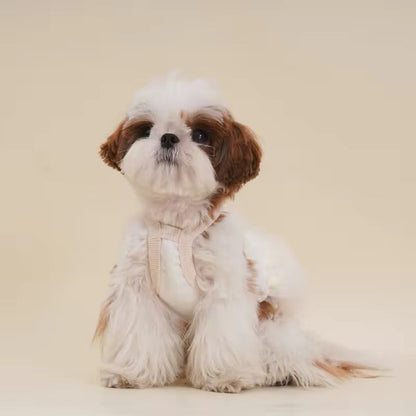 Robe pour Chienne Tina – Robe Élégante en Tulle pour Chienne