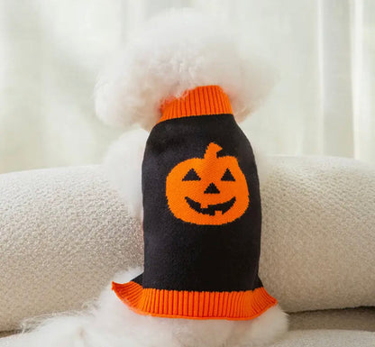 Pull pour chien citrouille | Costume d'Halloween pour chien