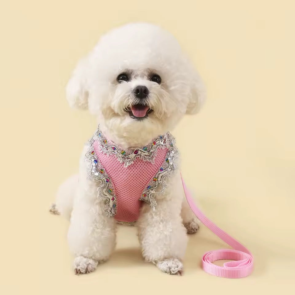 Ensemble Harnais et Laisse pour Chien en Dentelle Cristallisée – Vêtements de Luxe pour Animaux de Compagnie