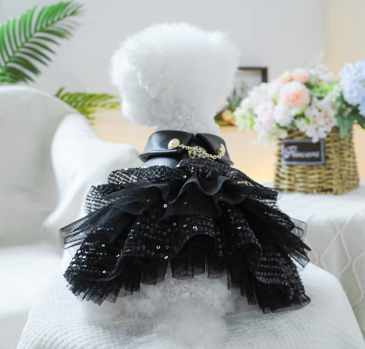 Robe pour chien « She’s a Rockstar » | Robe pour chien pour les grandes occasions