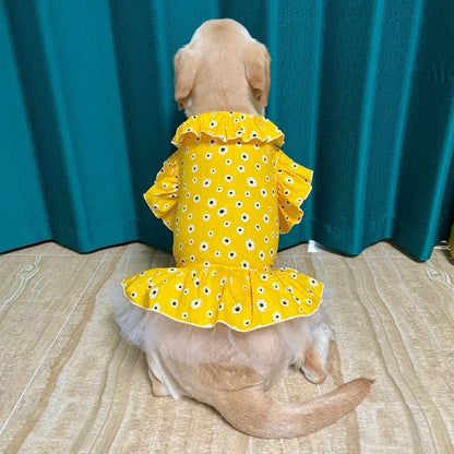 Robe Bella