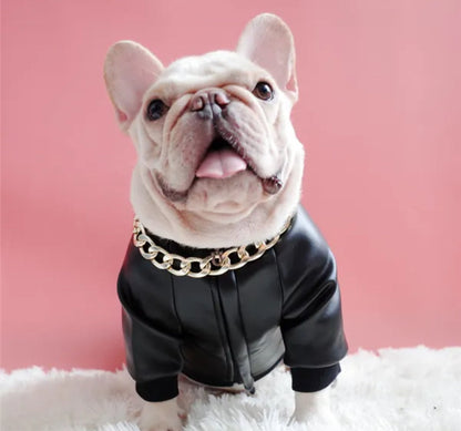 Blouson en cuir pour chien « Boujee » | Veste pour chien pour temps froid