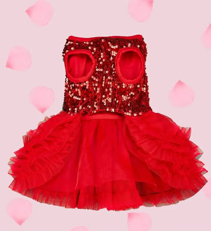 Robe Ruby pour chien | Robe de créateur pour animaux de compagnie