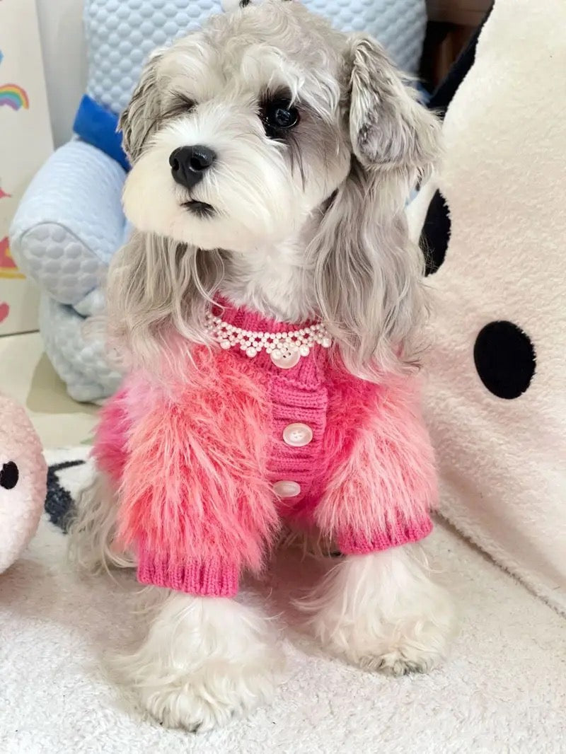 Pull pour chien | Pull pour chien « Je suis fabuleux »