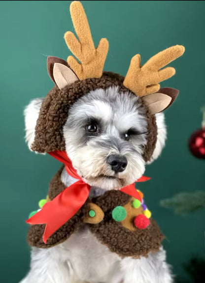 Reindeer Christmas Cape Set – Luxury Holiday Outfit for Dogs