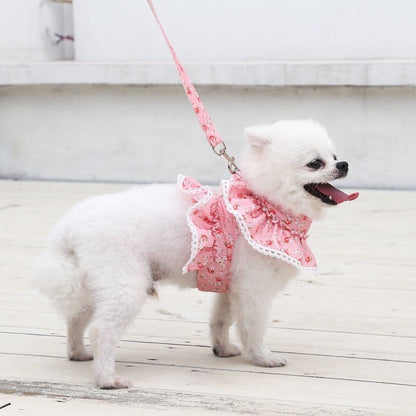 Ensemble Harnais et Laisse Floral pour Chien | Ensemble de Promenade pour Chien